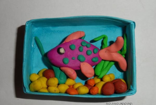 sette en fisk i akvariet
