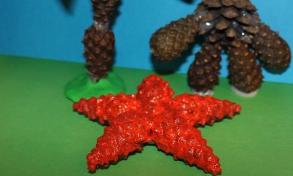 morske zvijezde napravljene od češera