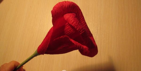 Tworząc pączek róży
