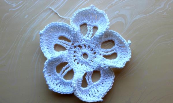Crochet flowering cacti
