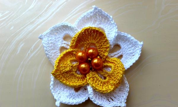 Crochet flowering cacti