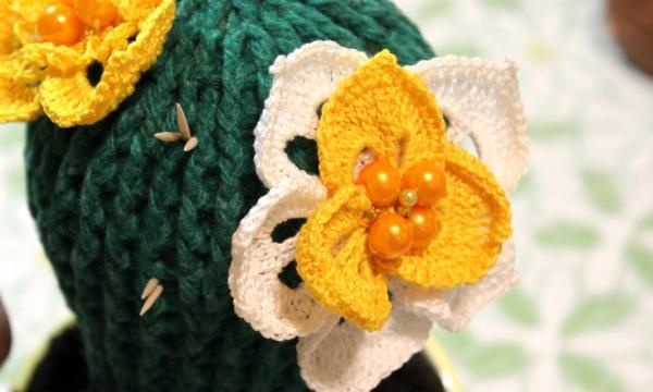Плетене на една кука цъфтящи кактуси