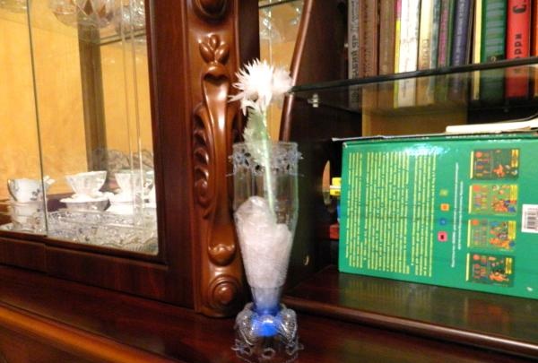 Plastik şişeden yapılmış vazo