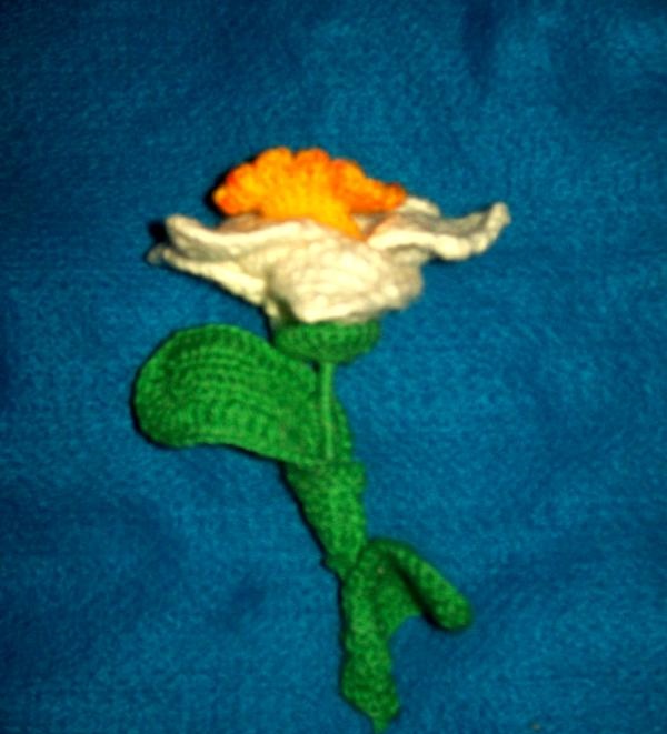 פרח איריס עשוי חוטים