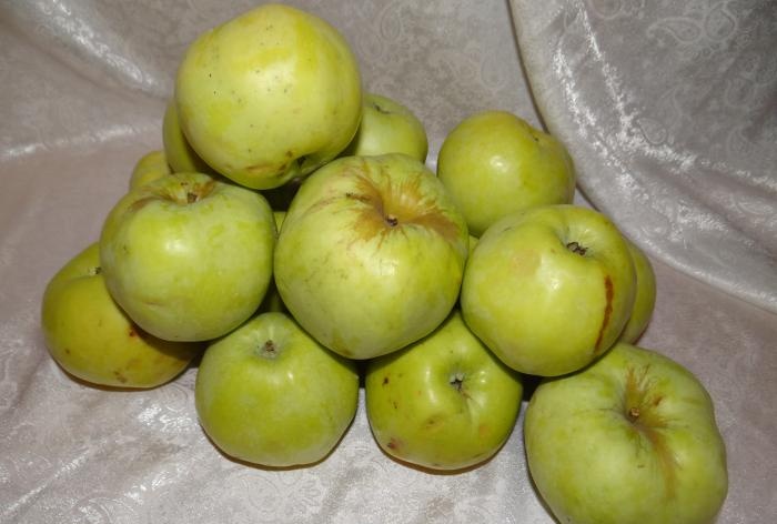 Ručno rađena pastila od jabuka