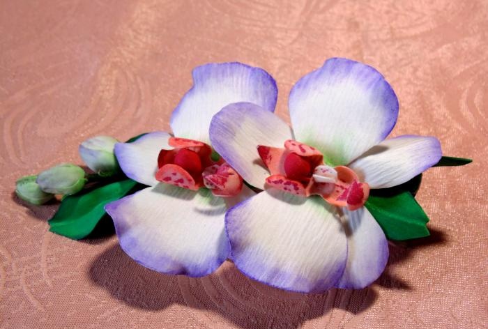 Meisterkurs für Orchideenklammern