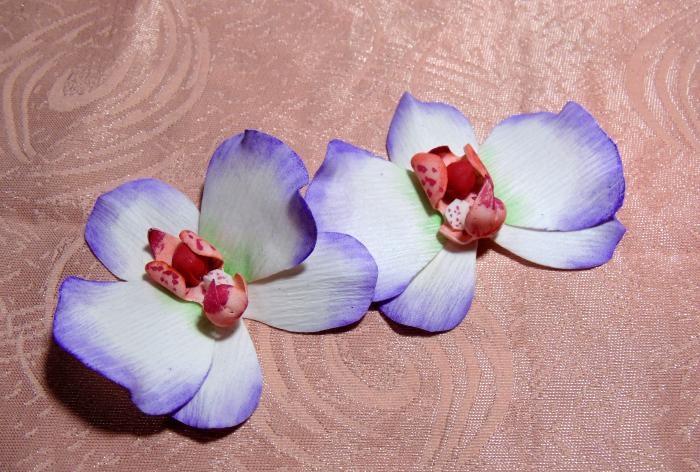 Majstrovská trieda svorky na orchidey