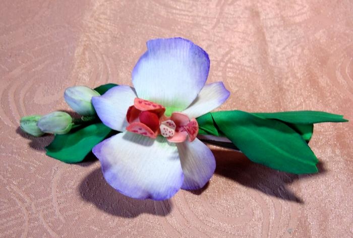 Clase magistral de abrazadera de orquídeas