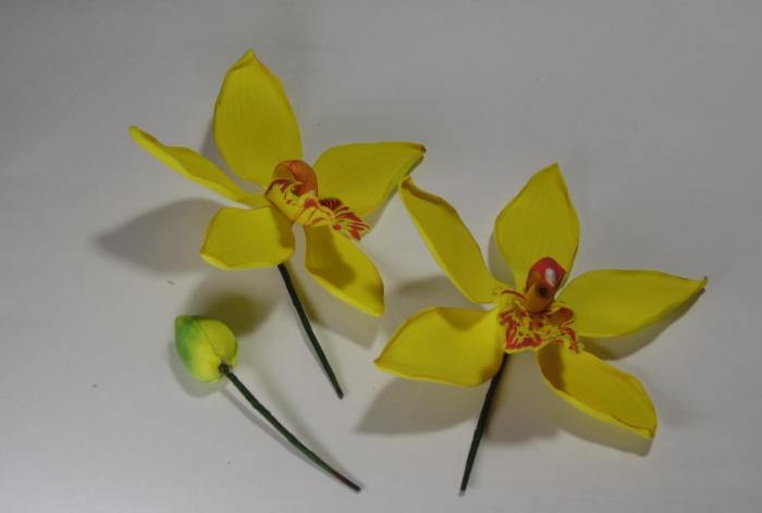 Mistrzowska klasa na gałązkach orchidei