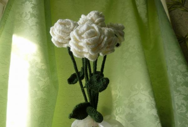 baltā roze