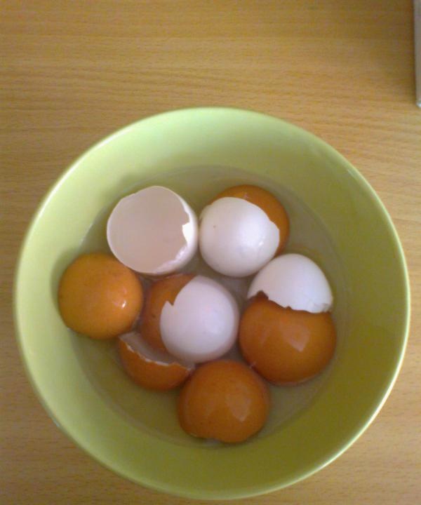 Vaječná škrupina