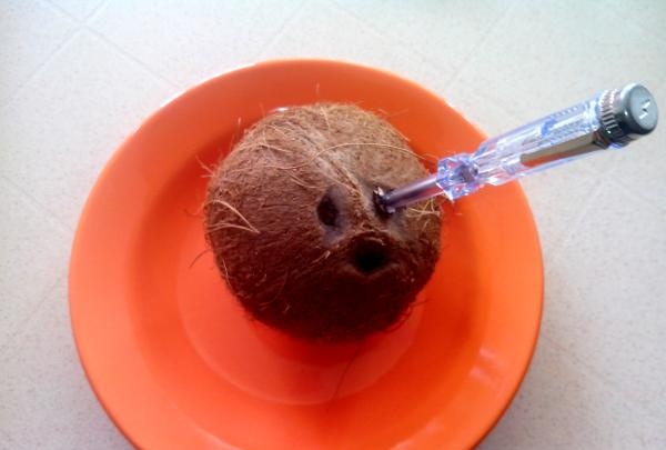 pierce brun kokosnød med en skruetrækker