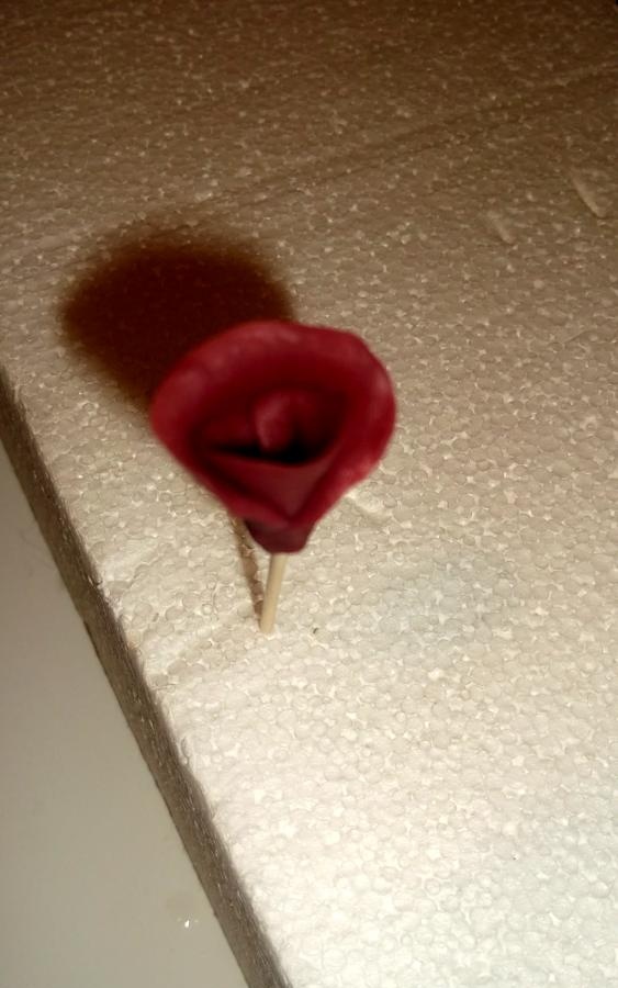 malá ruža
