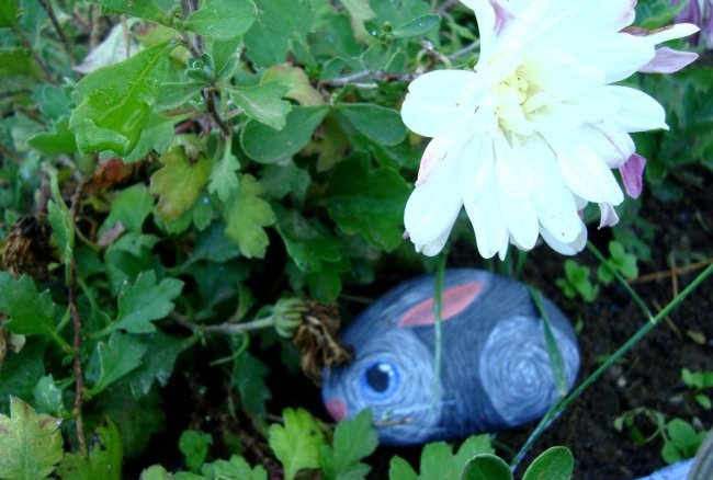 Tranh đá cho chú thỏ làm vườn