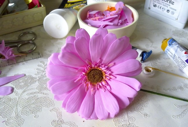 جربيرا الوردي من فوميران