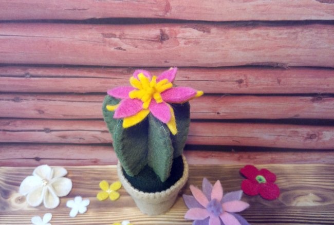 Plstěný kaktus v květináči