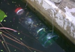 Fishing with a plastic bottle