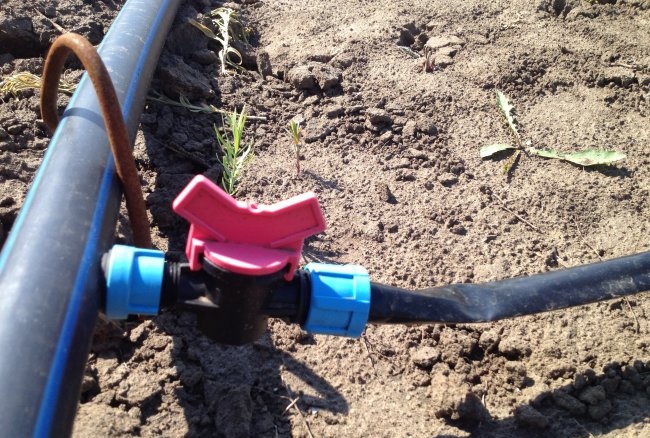 Creating a garden with an irrigation system