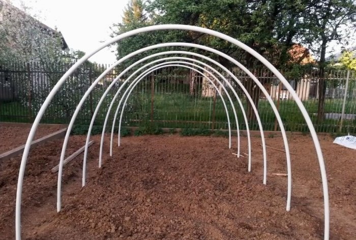 A simple greenhouse made of PVC pipes