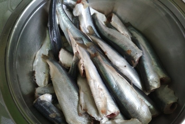 Homemade smoked herring
