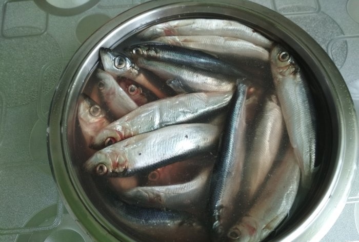 Homemade smoked herring