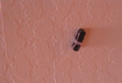 Encontrar objetos metálicos en la pared con un pequeño imán.