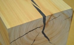 Repairing cracks in wood