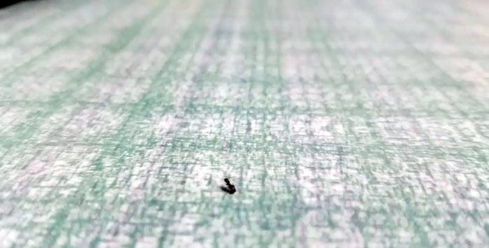 7 metodi efficaci per controllare le formiche