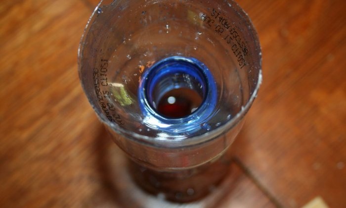 Plastik bir şişeden etkili bir eşekarısı tuzağı nasıl yapılır