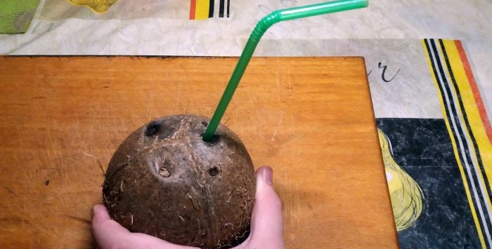 Wie man eine Kokosnuss schlägt
