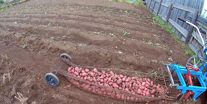 How to improve a walk-behind potato digger