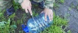 Wie man mit einer Plastikflasche Fische fängt