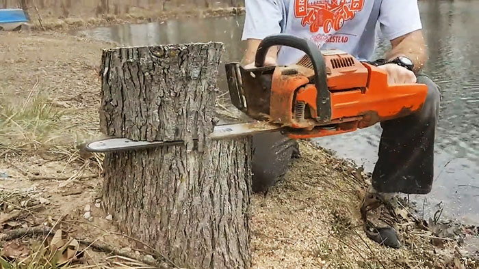 Como remover um toco de árvore de maneira barata e eficaz