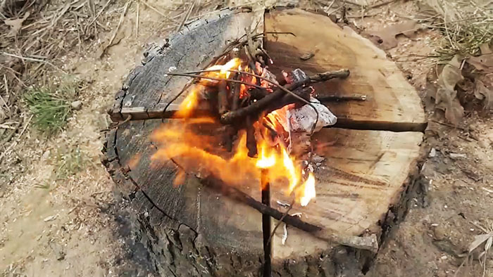 How to remove a tree stump cheaply and effectively