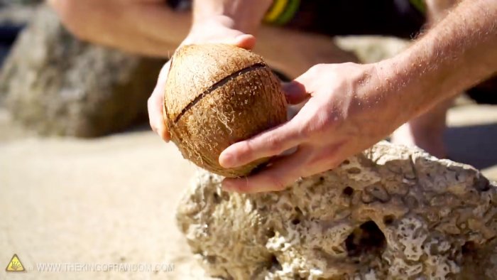 How to open a coconut without tools