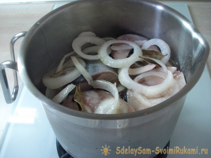 Gefrorener Makrelen-Snack in 5 Minuten