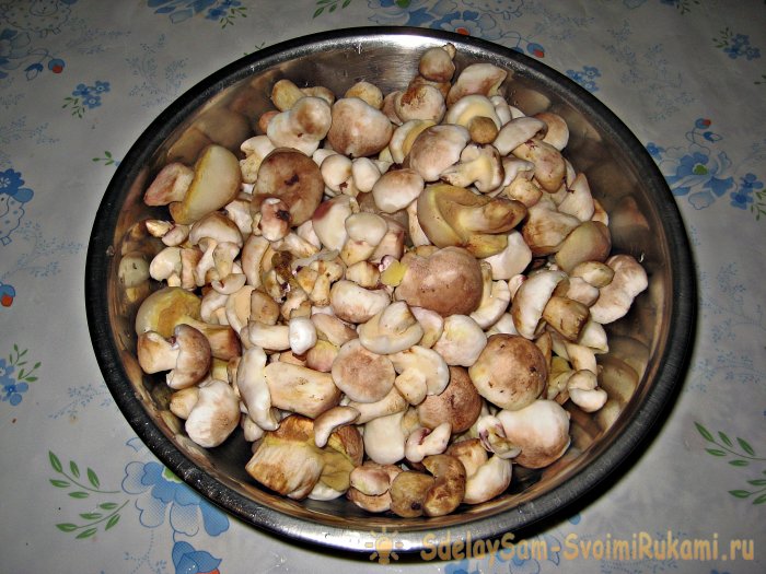 How to pickle boletus