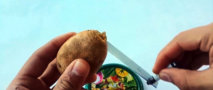 Hoe maak je een eenvoudige aardappelspiraalsnijder?