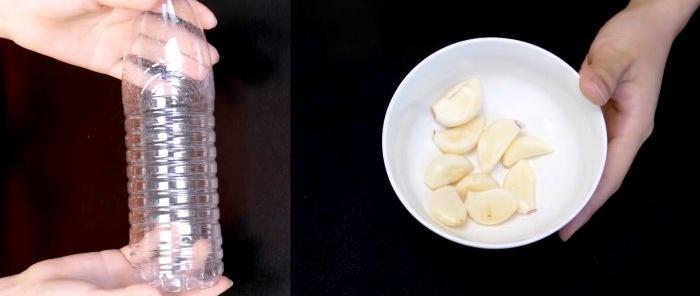 Caranya bukan sahaja kupas malah cincang bawang putih menggunakan botol plastik