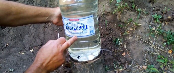 Il segreto di un buon raccolto: come organizzare l'irrigazione a goccia con le bottiglie