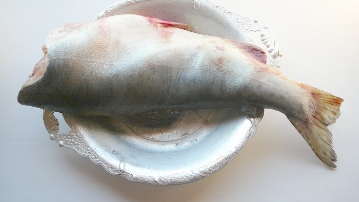 Món cá hồi hồng ngon nhất - công thức muối cá hồi đơn giản và đã được chứng minh