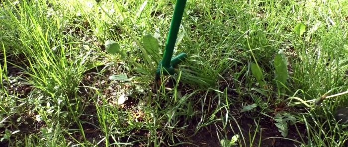 איך להכין מכשיר להסרת עשבים שוטים בשורש