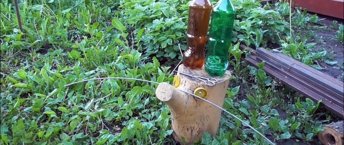 איך להכין עץ דקל יפה לגינה מבקבוקי PET