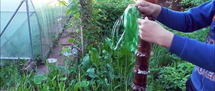 Come realizzare una bellissima palma per il giardino con bottiglie in PET