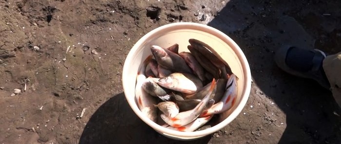 Ako vyčistiť vedro rýb za 15 minút