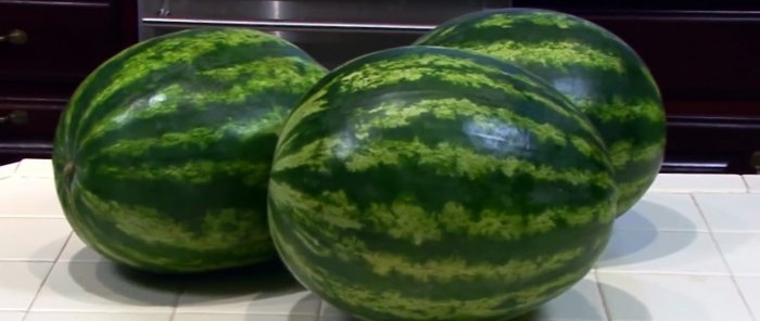 8 tegn som vil hjelpe deg å velge en sukkervannmelon med nesten 100 sannsynlighet