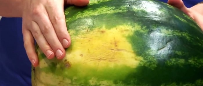 8 tekens die u zullen helpen bij het kiezen van een suikerwatermeloen met een waarschijnlijkheid van bijna 100