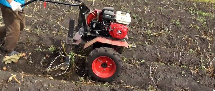 A burgonya maga jön ki a földből, egy egyszerű burgonyaásó egy mögöttes traktorhoz, amelyet bárki megismételhet