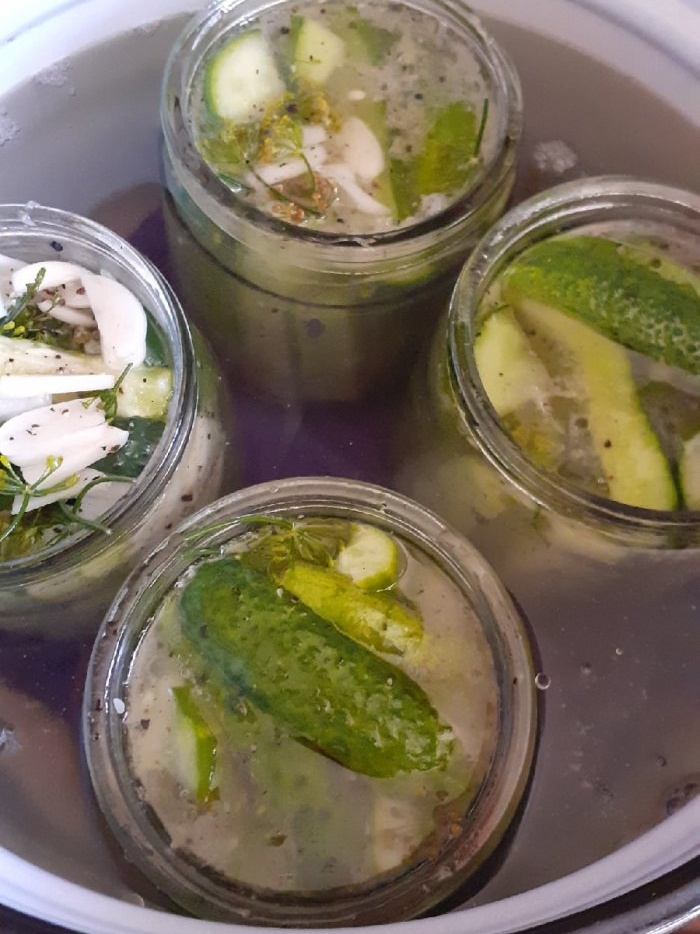 Once you make butter cucumbers you will cook them all the time