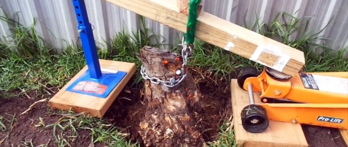 How to remove a tree stump using a car jack